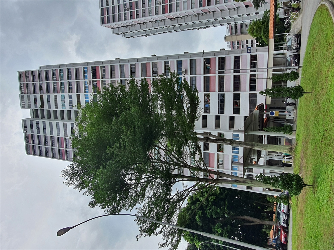 BLK 355 Clementi Avenue 2 - 8PROP Property Intelligence